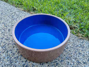 Large ceramic dog bowl