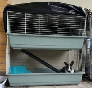 Two story rabbit / guinea pig cage 