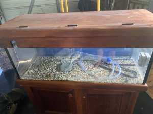 Fish tank and stand and more