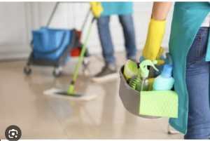 Domestic cleaning: regular, one off, deep cleaning and vacate cleaning 