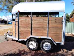1977 Taylor Horse Float Good Condition - Potential Coffee/food trailer