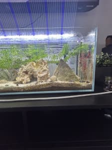 Fish tank / aquarium
