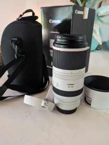 Canon RF 100-500 f/4.5-7.1 L IS USM telephoto lens .