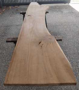 Timber hardwood eucalyptus slab