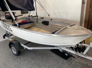 Tinnie with 8.0 Mercury outboard and trailer