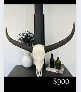 Buffalo and Bull horns