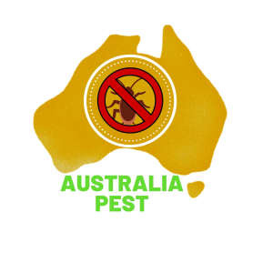 Cheapest Pest Control
All Brisbane.