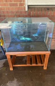 Fish tank/ reptile tank