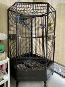 Extra large corner bird cage