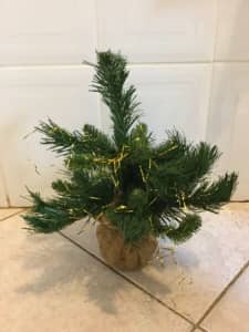 Christmas tree 35cm with hessian base. Jim’s x,as
