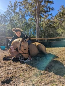 Horse Trainer/Rider