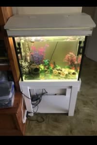 Fish tank everything included Tank size 620 490 310