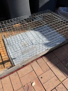 Pigeon trap cage