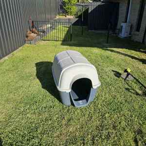 Large plastic dog kennel