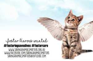 URGENT FOSTER CARERS NEEDED!