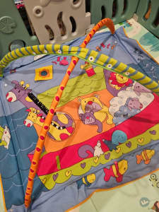 Animals on the Boat Theme Playmat with 2 Arches