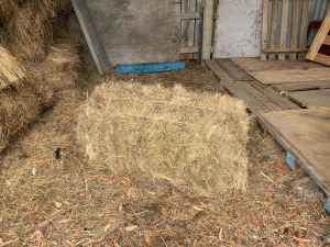 ~15-20 square hay bales for sale- Upper Beaconsfield