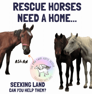 SEEKING Land for rescued horses, agistment, paddock, land lease