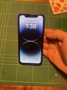 iPhone 11 built in iPhone 14 Pro body