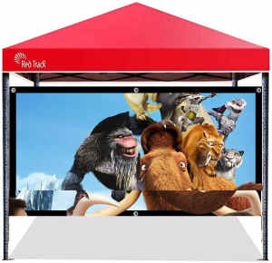 hanging Projector screen 100 or 120 inches new - indoor and outdoor