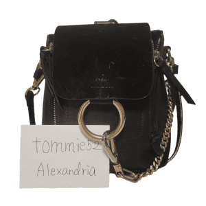 Authentic CHLOE Small Faye Backpack