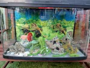 Fish Tank With All Accessories 800mm x430mm x 550mm High 