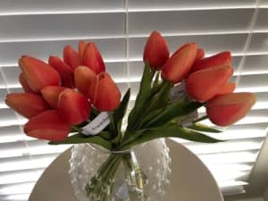 Rogue Tulip Bunch of 12 stocks 25cm $15 each bunch without vase NEW