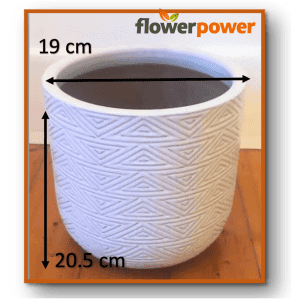 Flower Power Planter - White Glazed Terracotta Pot