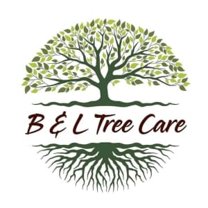 Tree cutting & pruning services