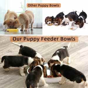 NEW Stainless Puppy/Litter/ Slow feeding Bowls-2 Sizes- From $9.50
