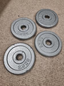 Four 2.5kg weight plates