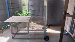 Chicken/guinea pigs cage