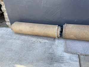Free- used carpet suitable for garden beds only