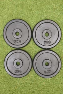 Gym 4x 5kg (20kg) 25mm holes