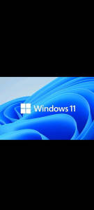 Windows installation any version, any software