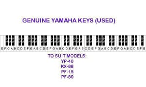 YAMAHA CLAVINOVA Keys & Parts (YP-40 KX-88 PF-15 PF-80) REFURBISHED