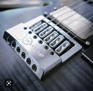 Wanted: Show me your Evertune guitars 