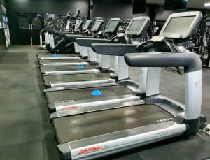 Complete Gym/Fitness Facility Package: Cardio, Resistance, Freeweight