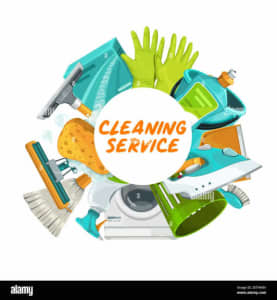 Professional Cleaning Service Available 