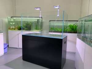 Brand new 12mm low iron glass 4ft aquarium