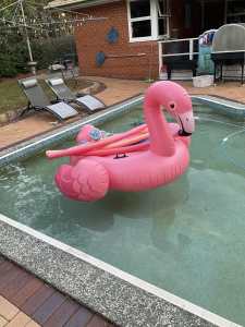 Giant inflatable pool flamingo floatie and other pool toys