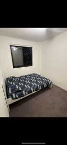 Room for rent in Surry hills