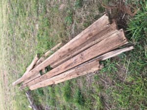 Treated pine timber