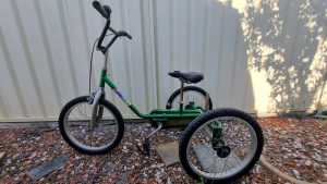 20 kids Tricycle $100