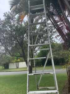 Vintage timber 11 foot ladder