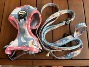 Pablo and co Disney princess collaboration xxs harness and lead set 