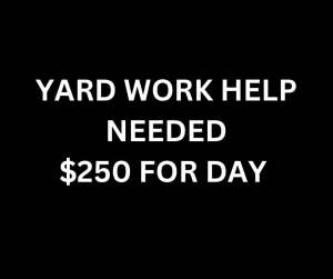 YARD WORK HELP NEEDED $250 FOR DAY