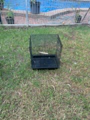 BIRD CAGES FOR SALE