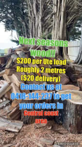 Firewood! Next seasons (semi dry)