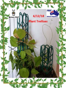 6/12/18 Indoor Plant Trellis 
